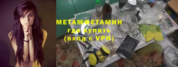 гидра Богданович