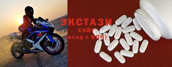 ECSTASY Богородицк